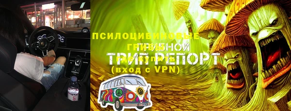гашик Алексеевка