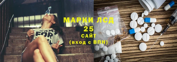 молекула духа Козельск